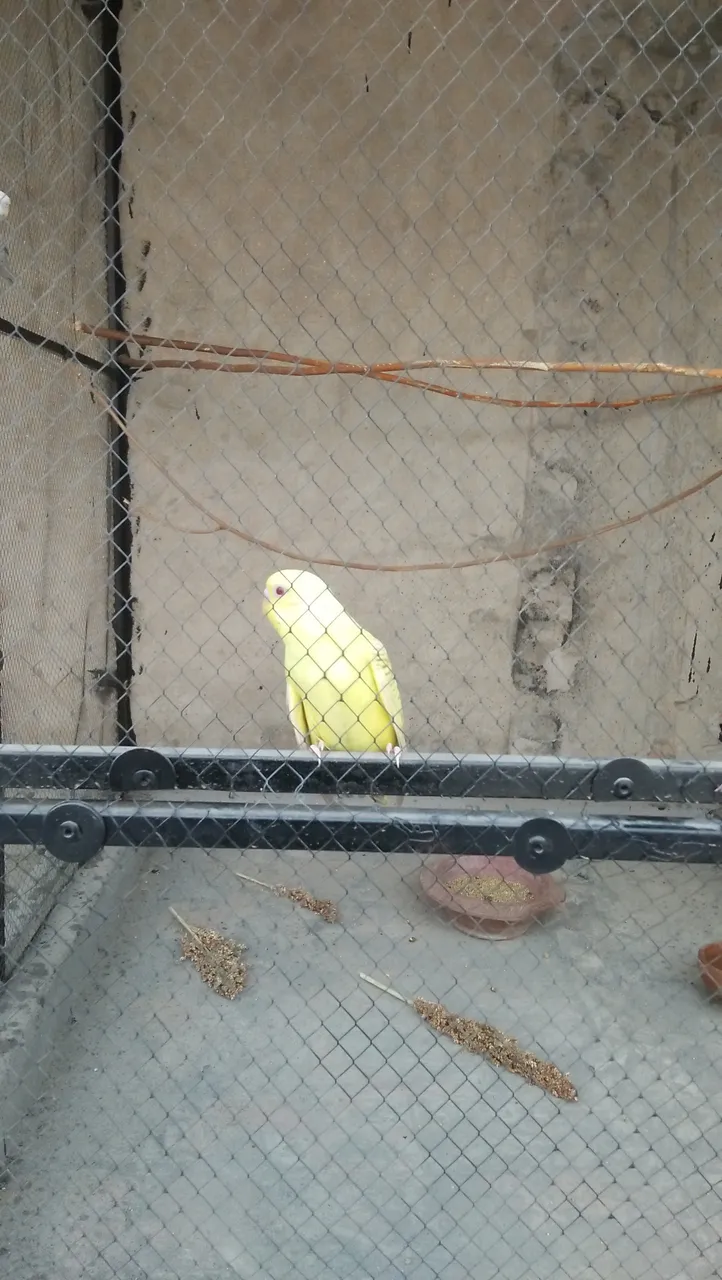 IMG20180930173017.jpg