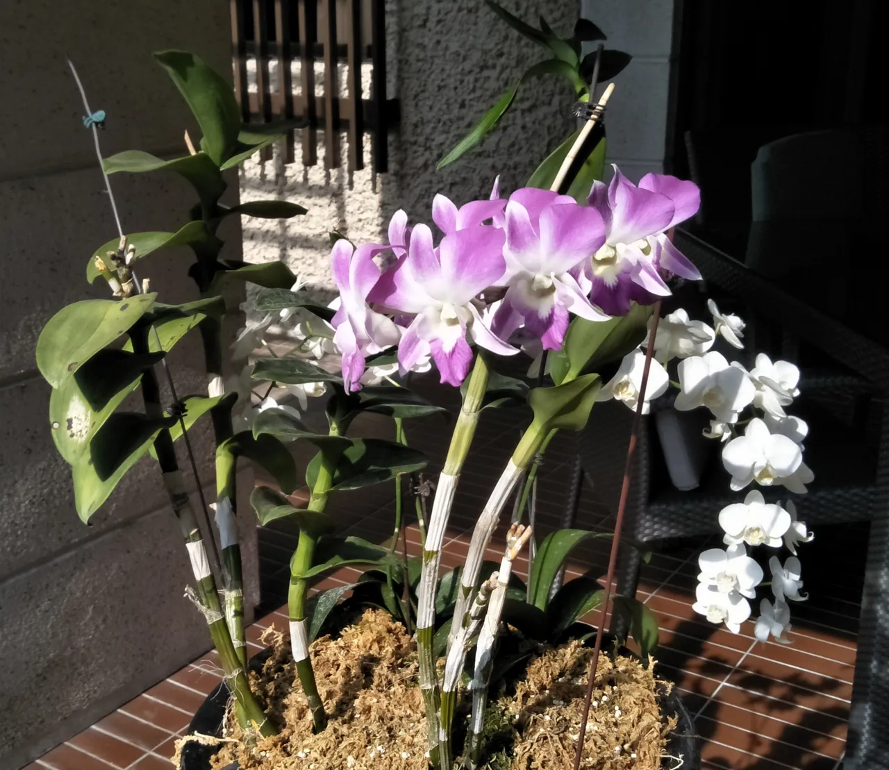 IMG20191019160940.jpg