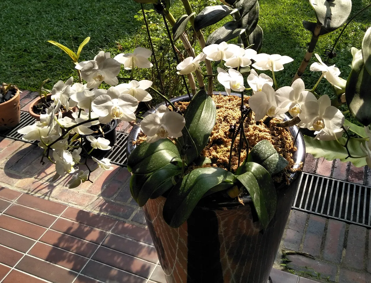 IMG20191019161302.jpg