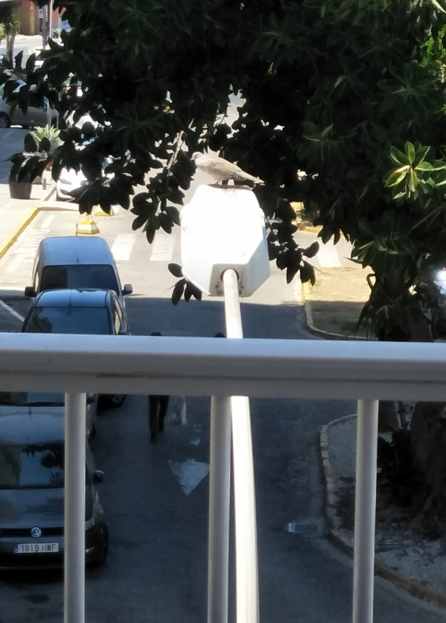 IMG20180730141836.jpg