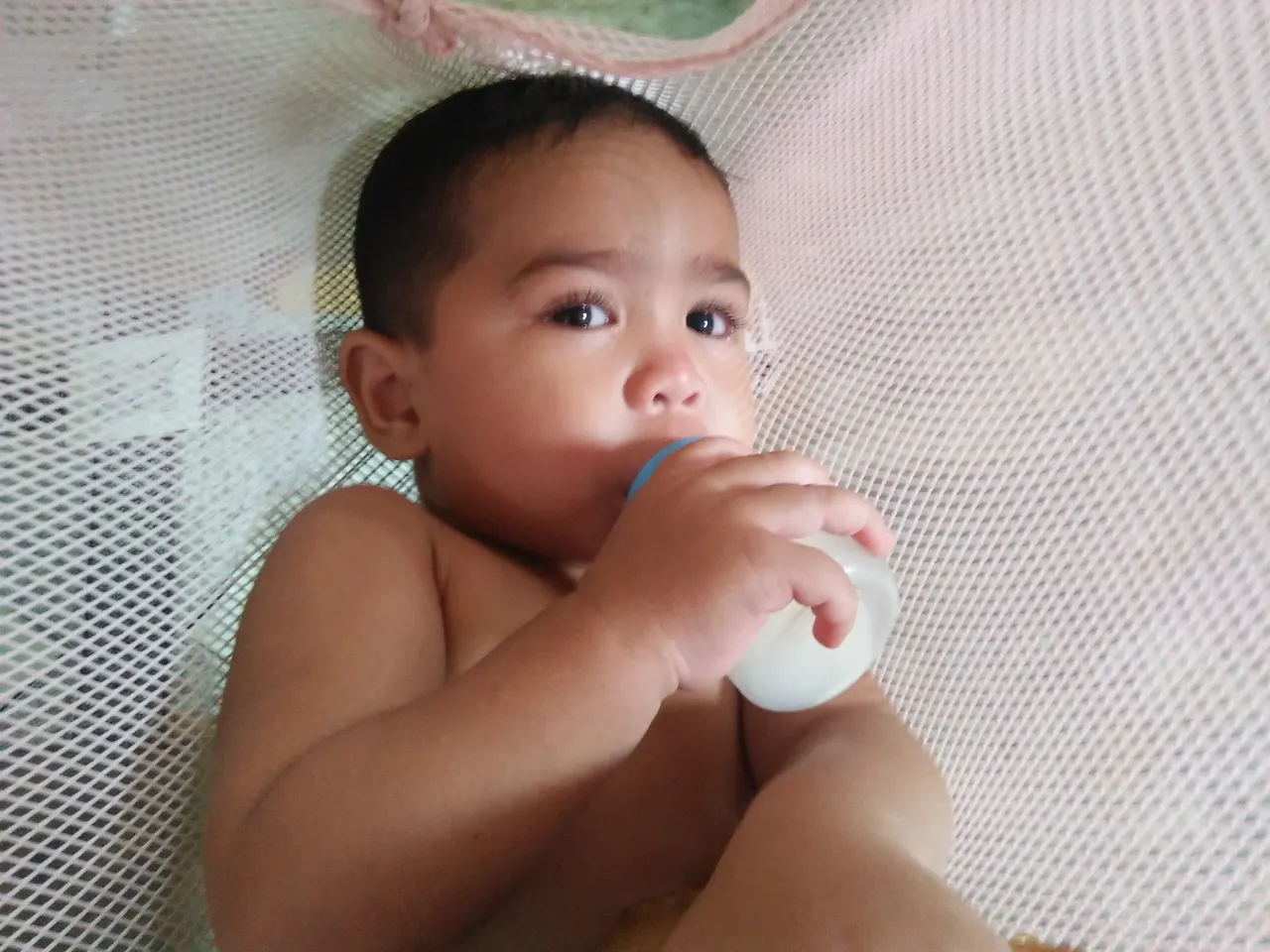 IMG20250111125813.jpg