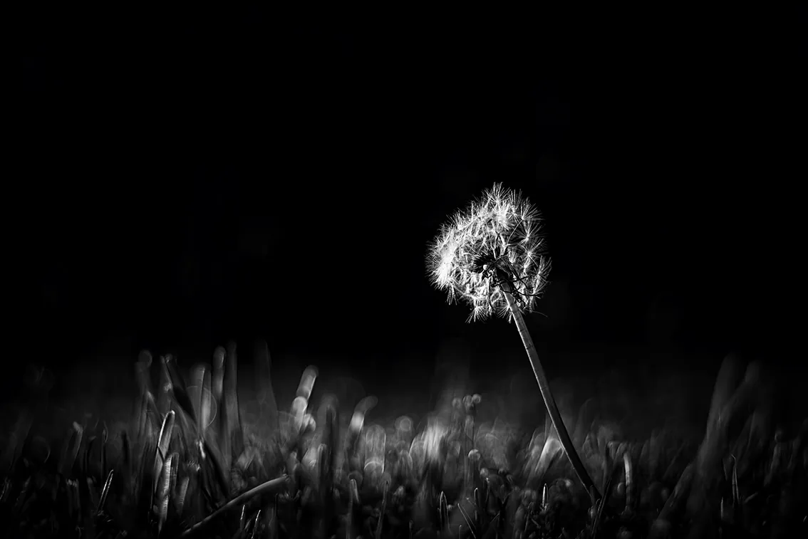 _DSC6513-BW-3-ST2.png