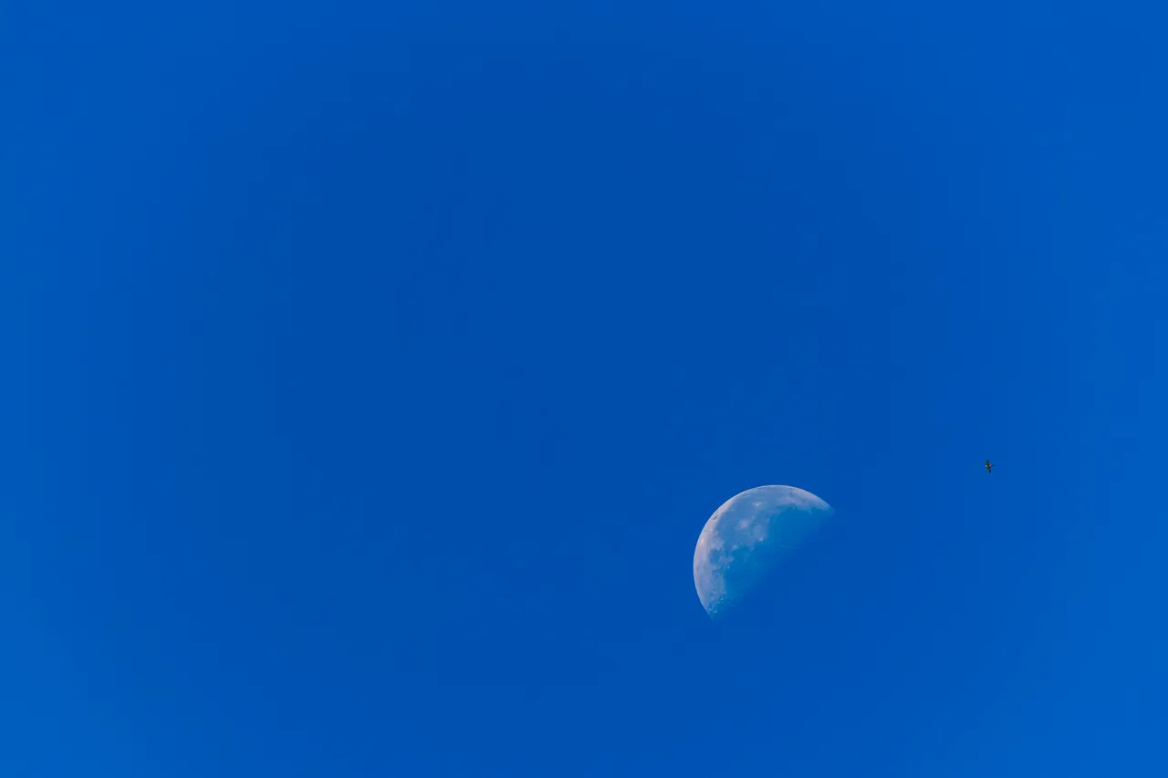 2017_10_12_231592.jpg