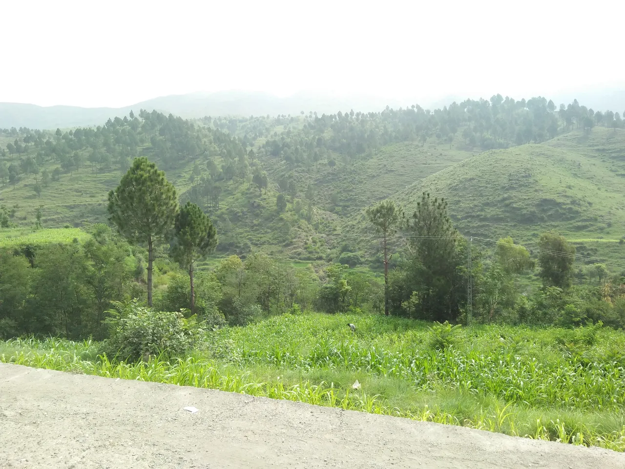 IMG20180804092428.jpg