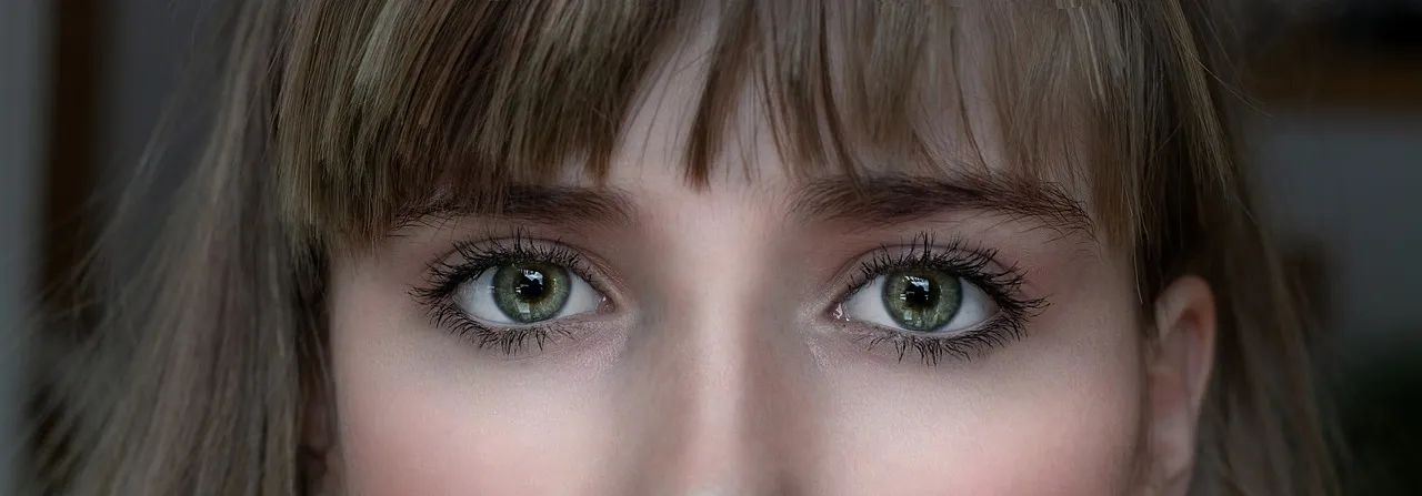 eyes-4077044_1280.jpg