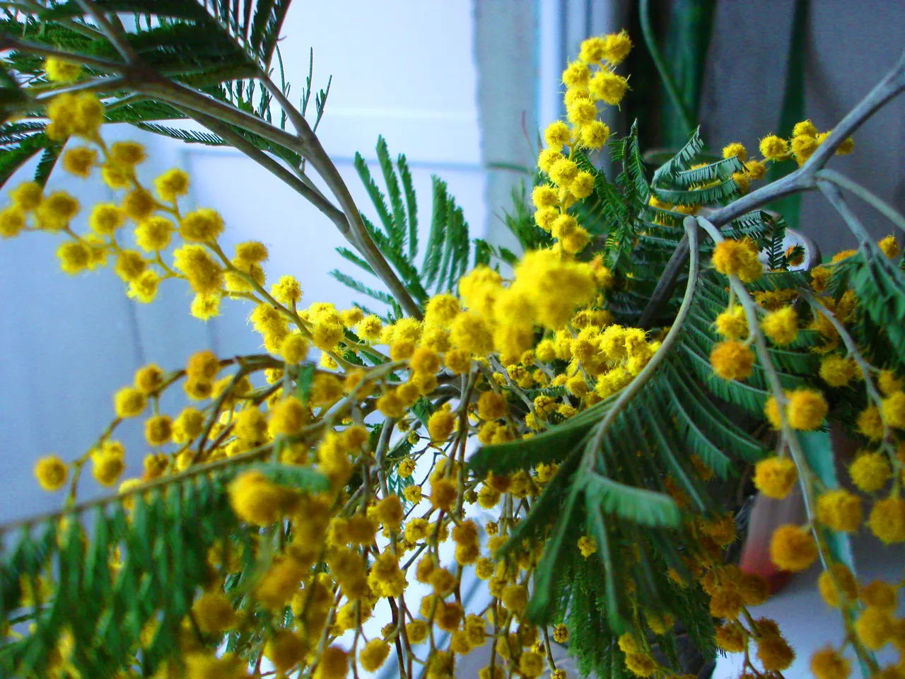 DSC01322-11222222.jpg