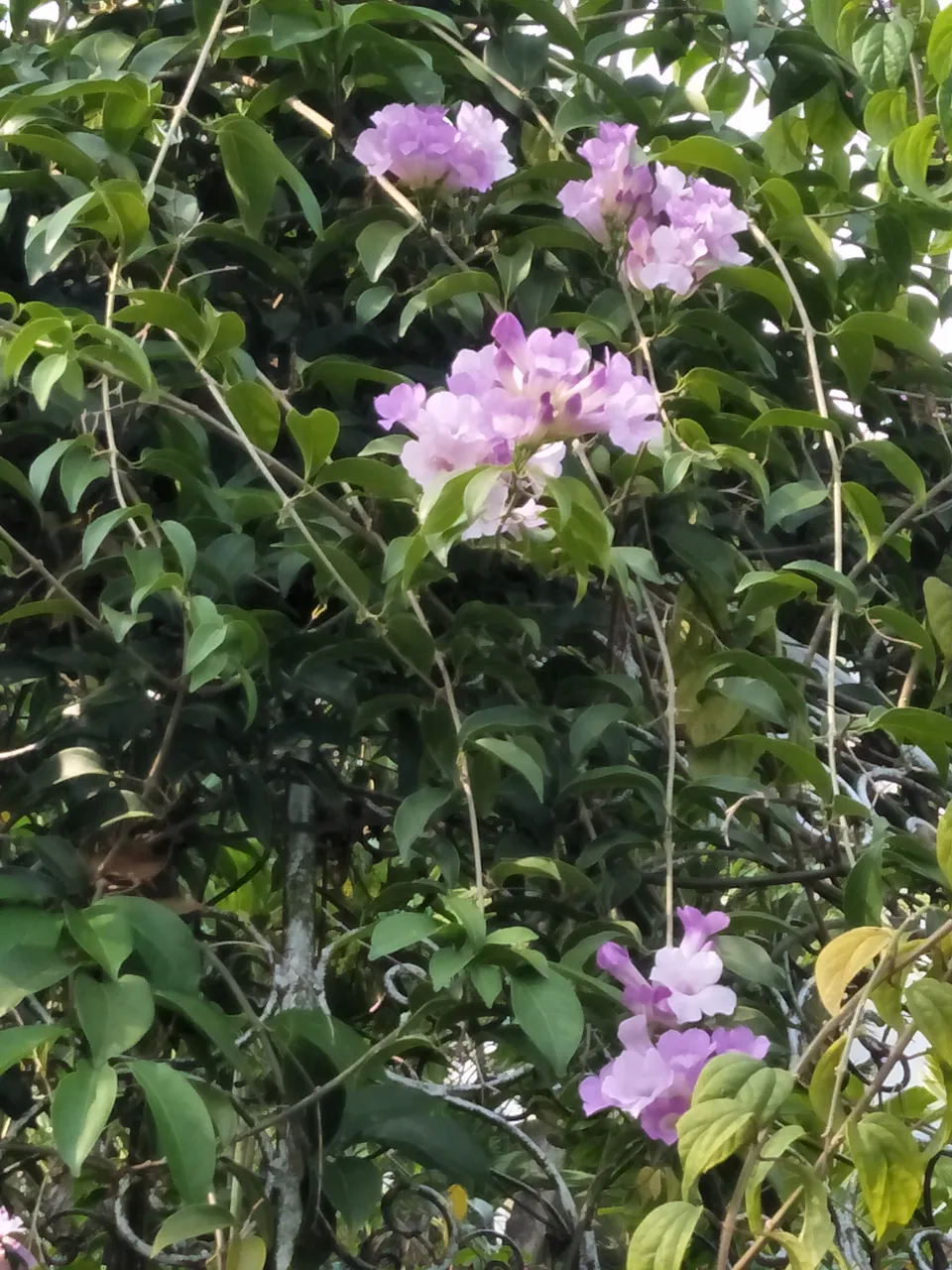 IMG20191019161045.jpg