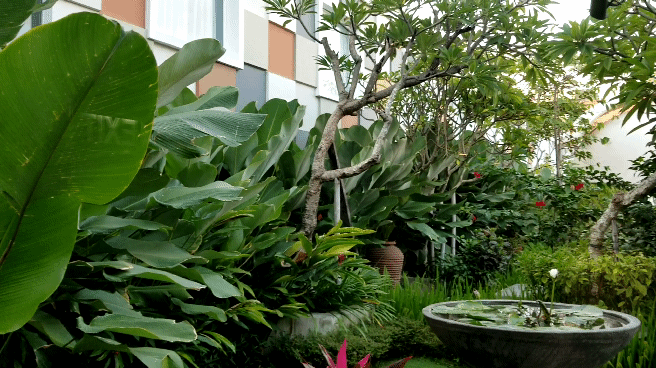 20180716_071631_1.gif