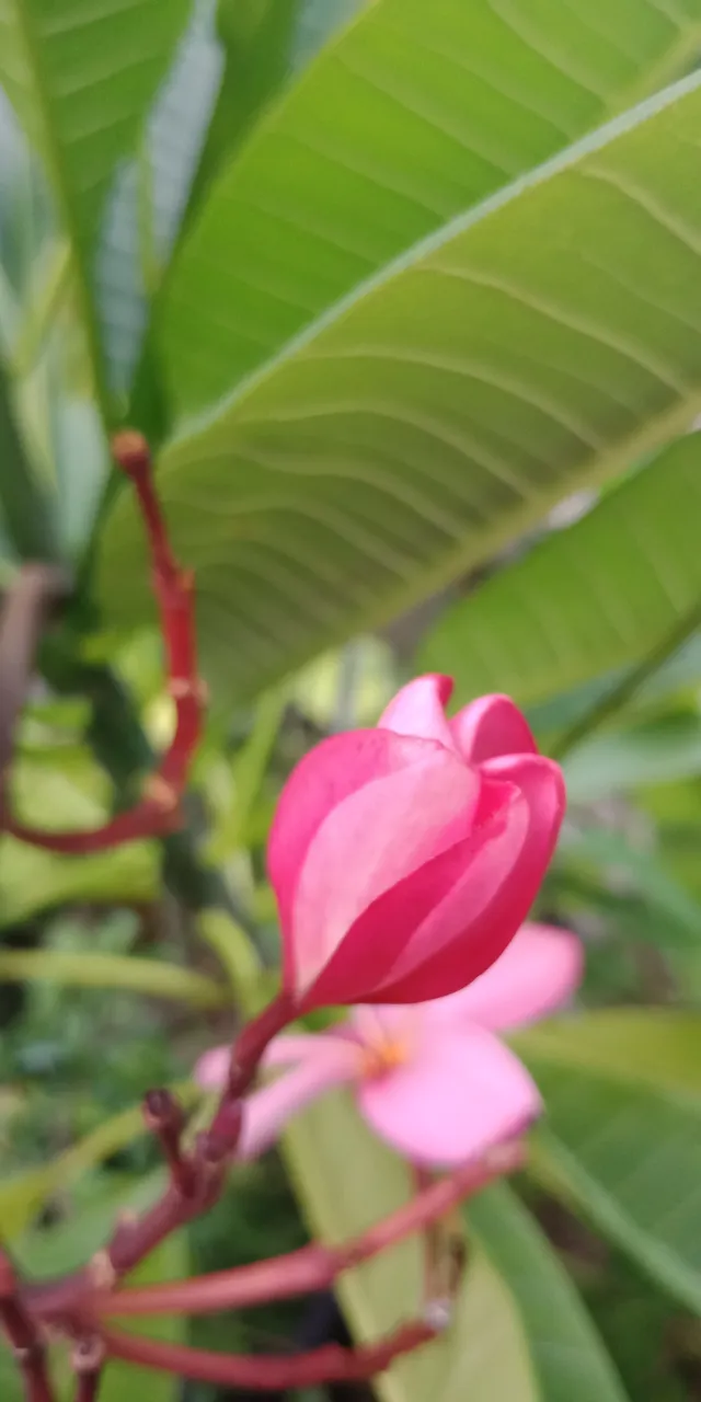 IMG20190827181952.jpg