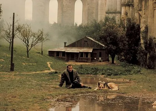 movie_image (1).jpg