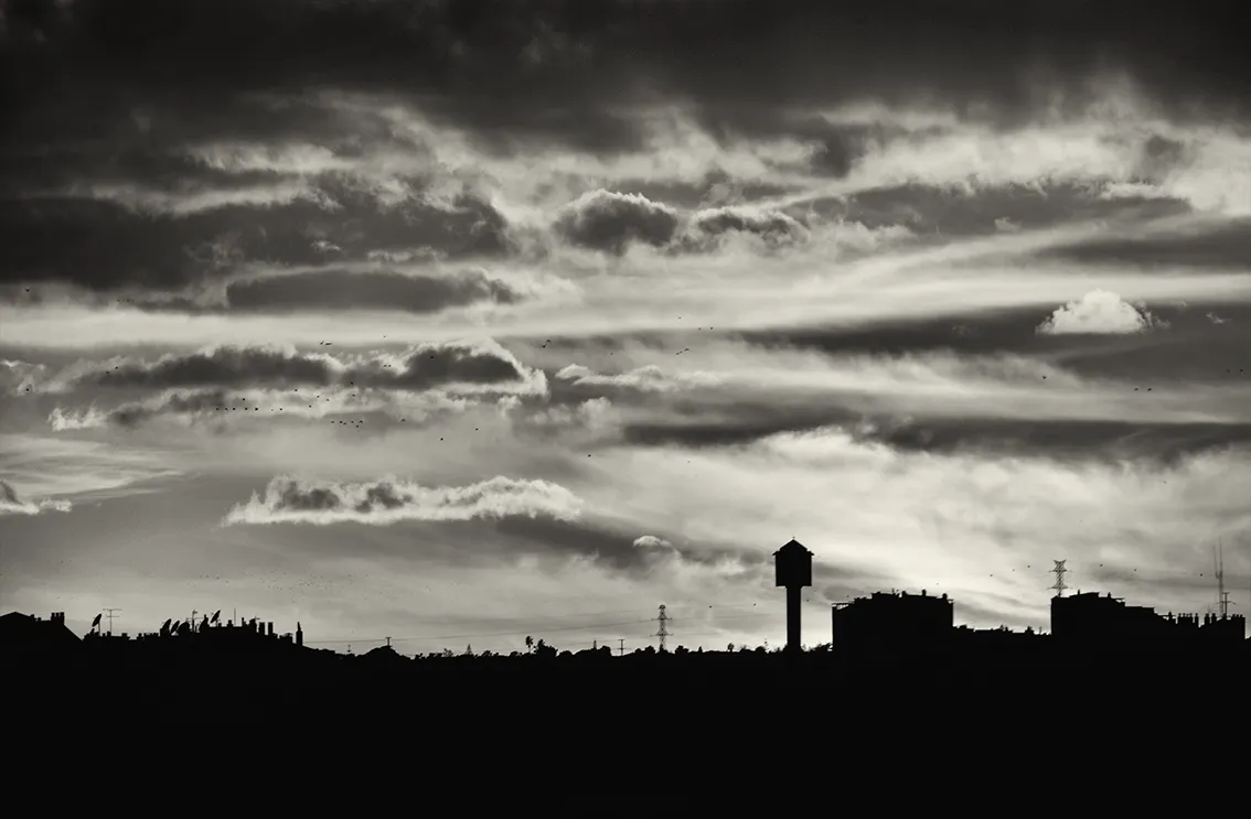 DSC_2480-2-Exp-BW.png
