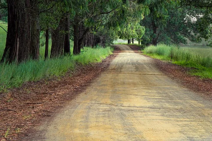 road-1894938__480.jpg