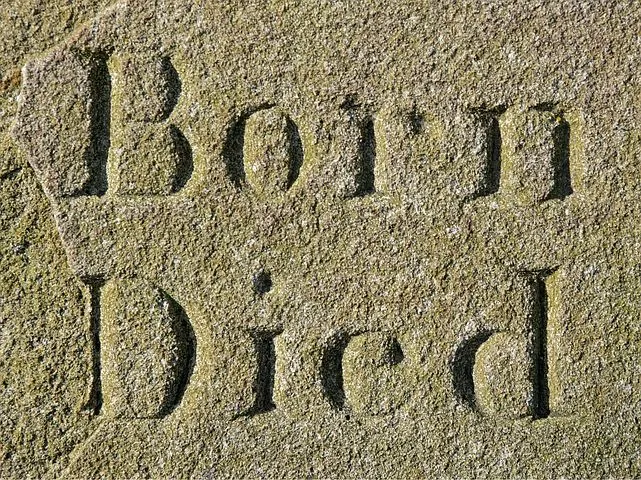 born-1264699__480.jpg