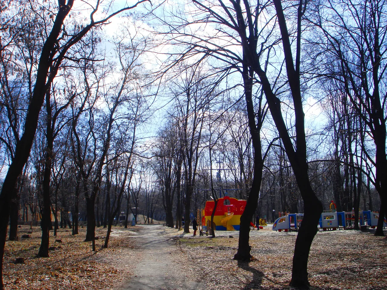 DSC01540-22222222.jpg