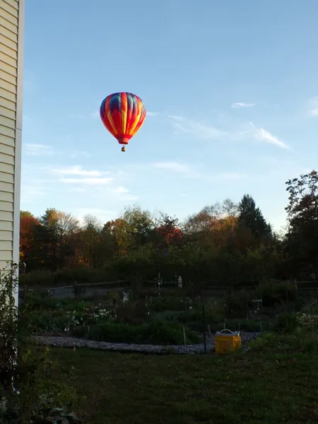 The balloons9 crop Oct. 2020.jpg
