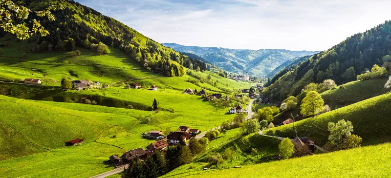 urlaubimhochschwarzwaldsommer2.1.jpg