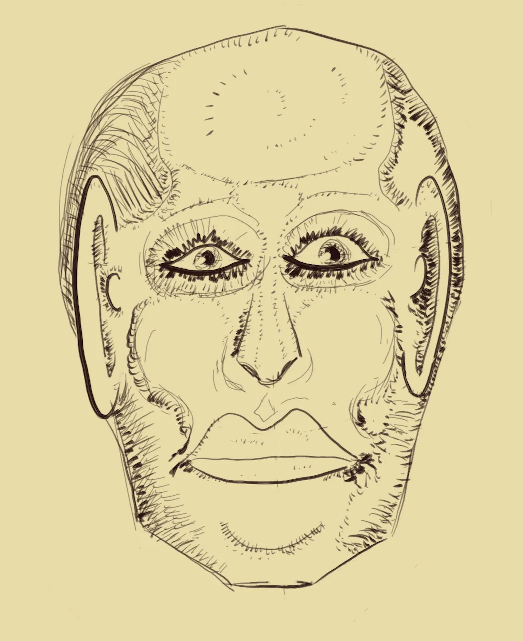 5.31.20 hatching faces plainlines.png