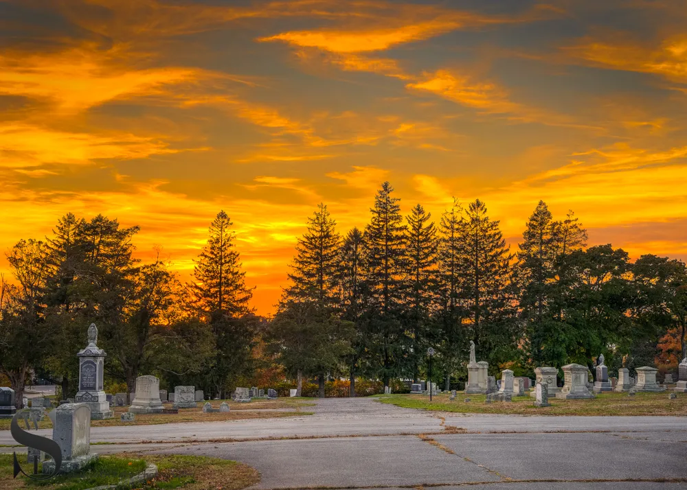 WW Evening walks in Cemetery_2.jpg