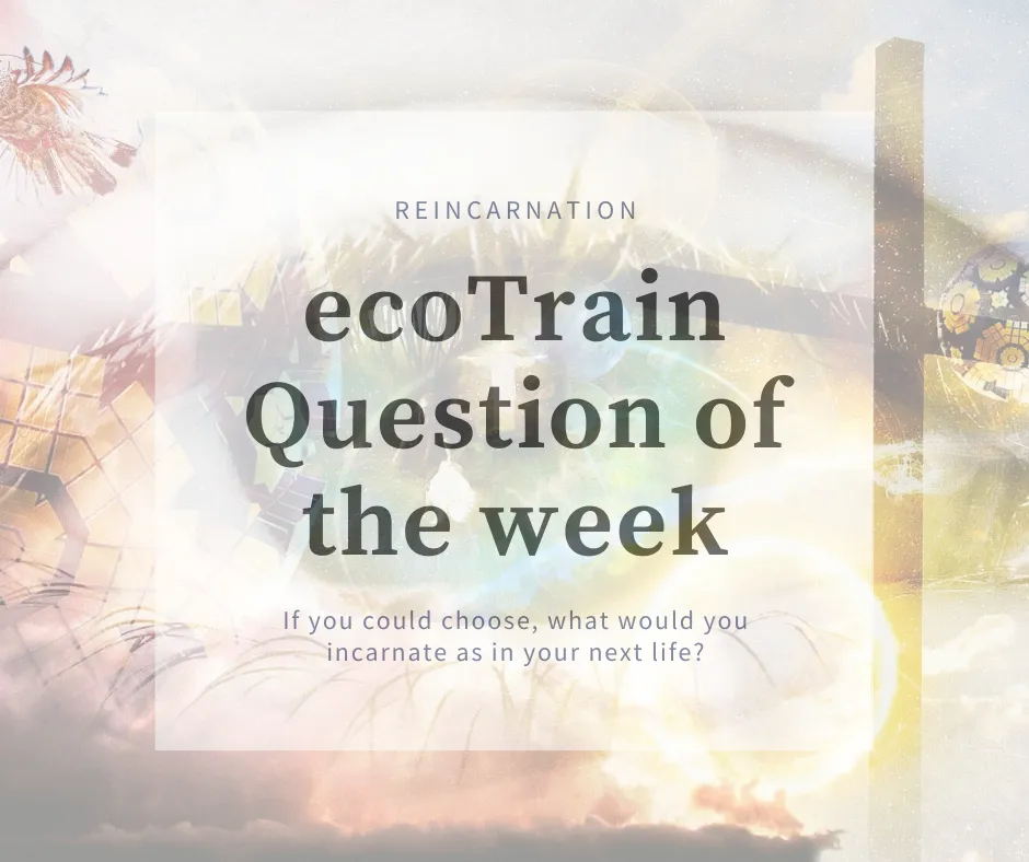 ecoTrain Question of the week.png