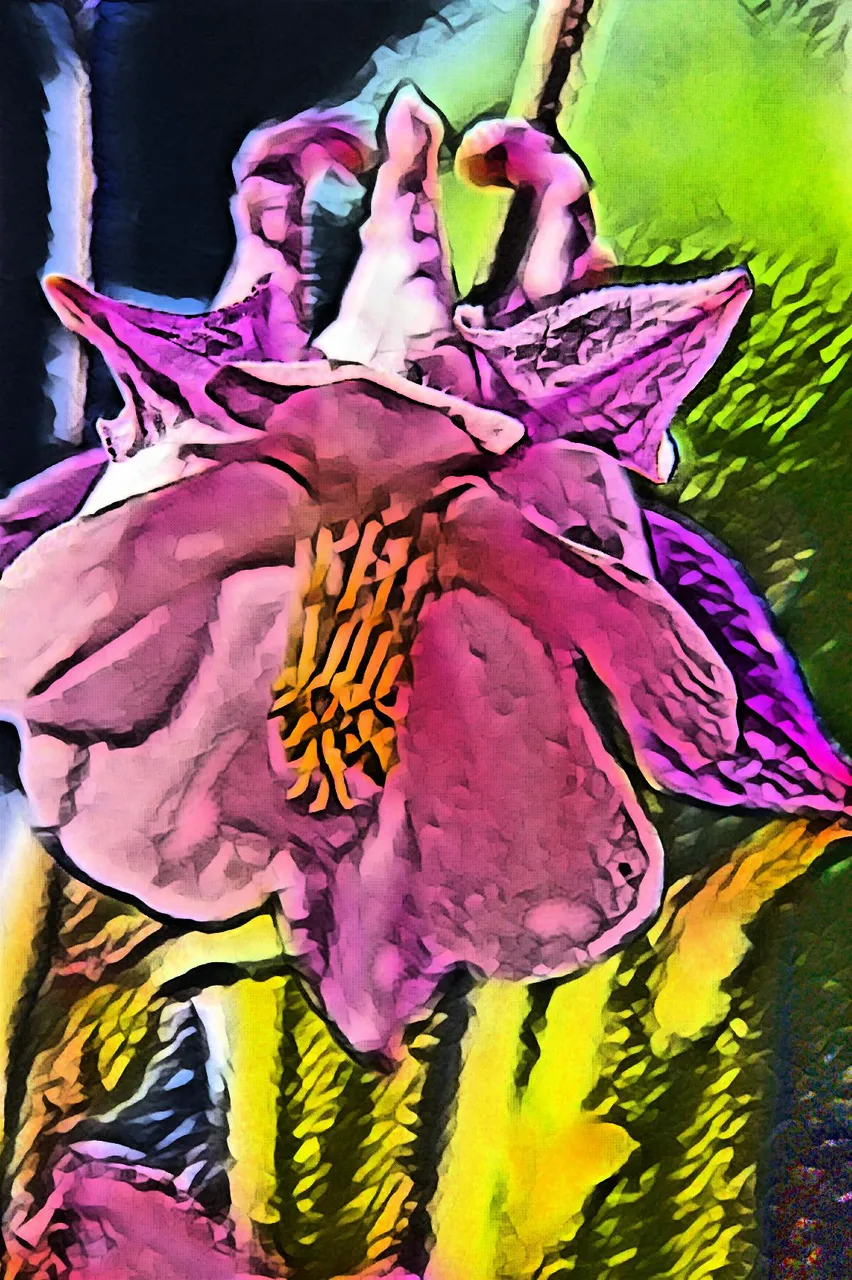 imageedit_edtaonisl_9381227995.jpg