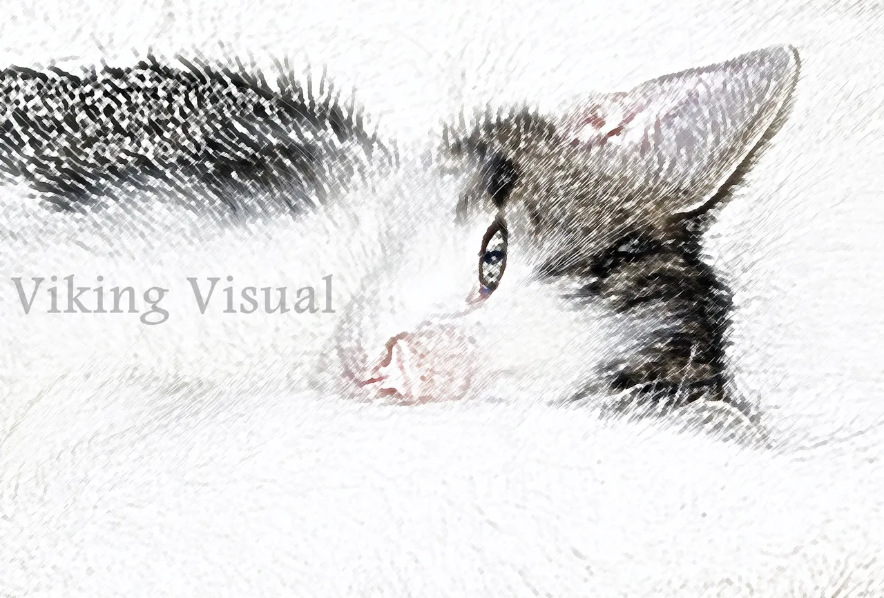 Kitten_with_Mom_pencil_1600_wm.jpg