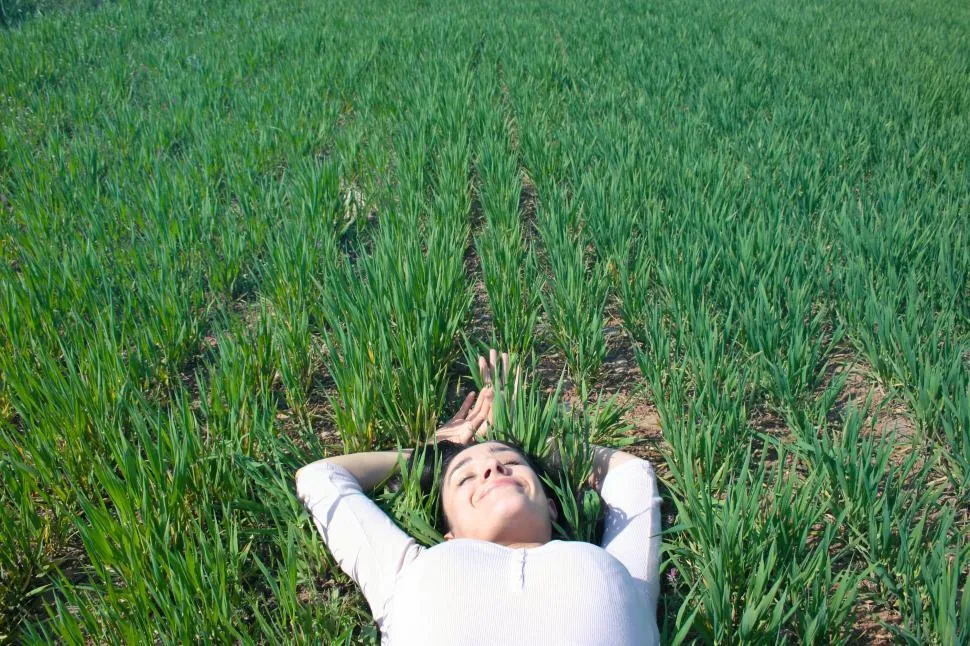 youngwomanlayingonthegrass.jpg