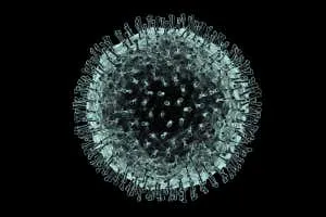 f0070229coronavirus_artworkspl.jpg