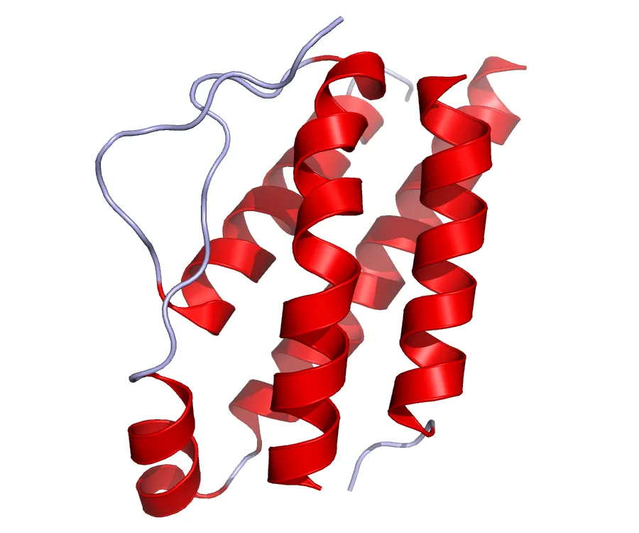 il2_crystal_structure.png