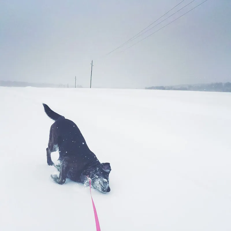 How to dress for Winter? #winterwonderland