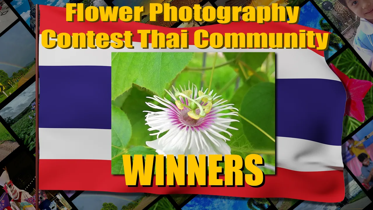 flower_contest_winner.png