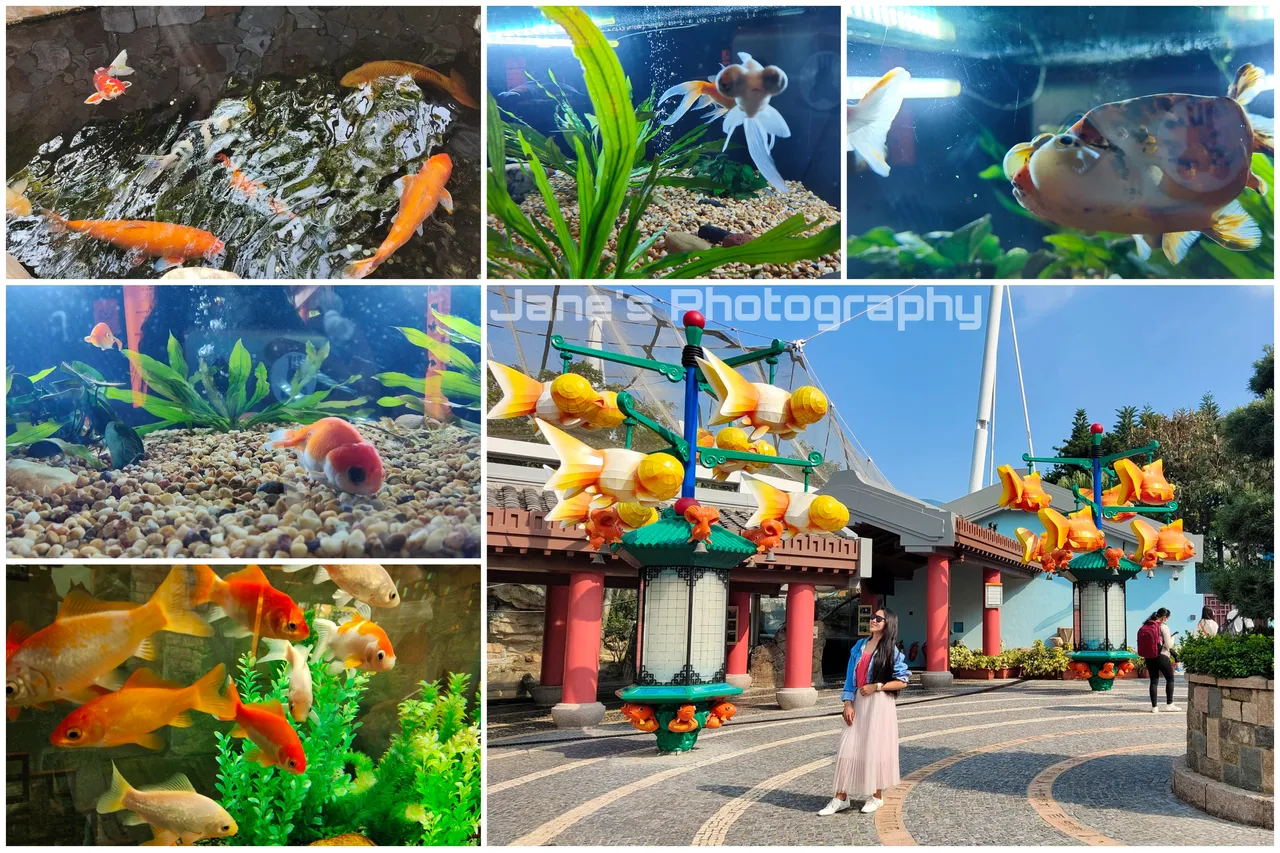 PicsArt_01-04-02.19.15.jpg