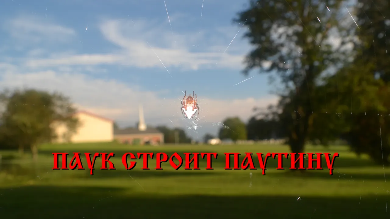 Spider thumb maybe.png
