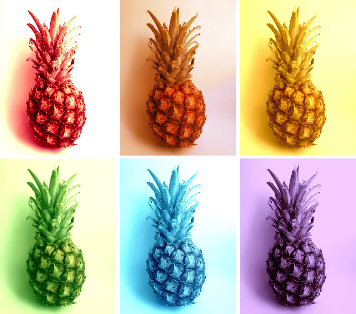 PIÑAS COLORIDAS.png