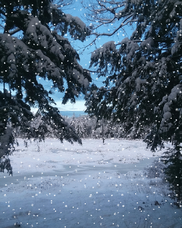 imageedit_2_4054239053.gif