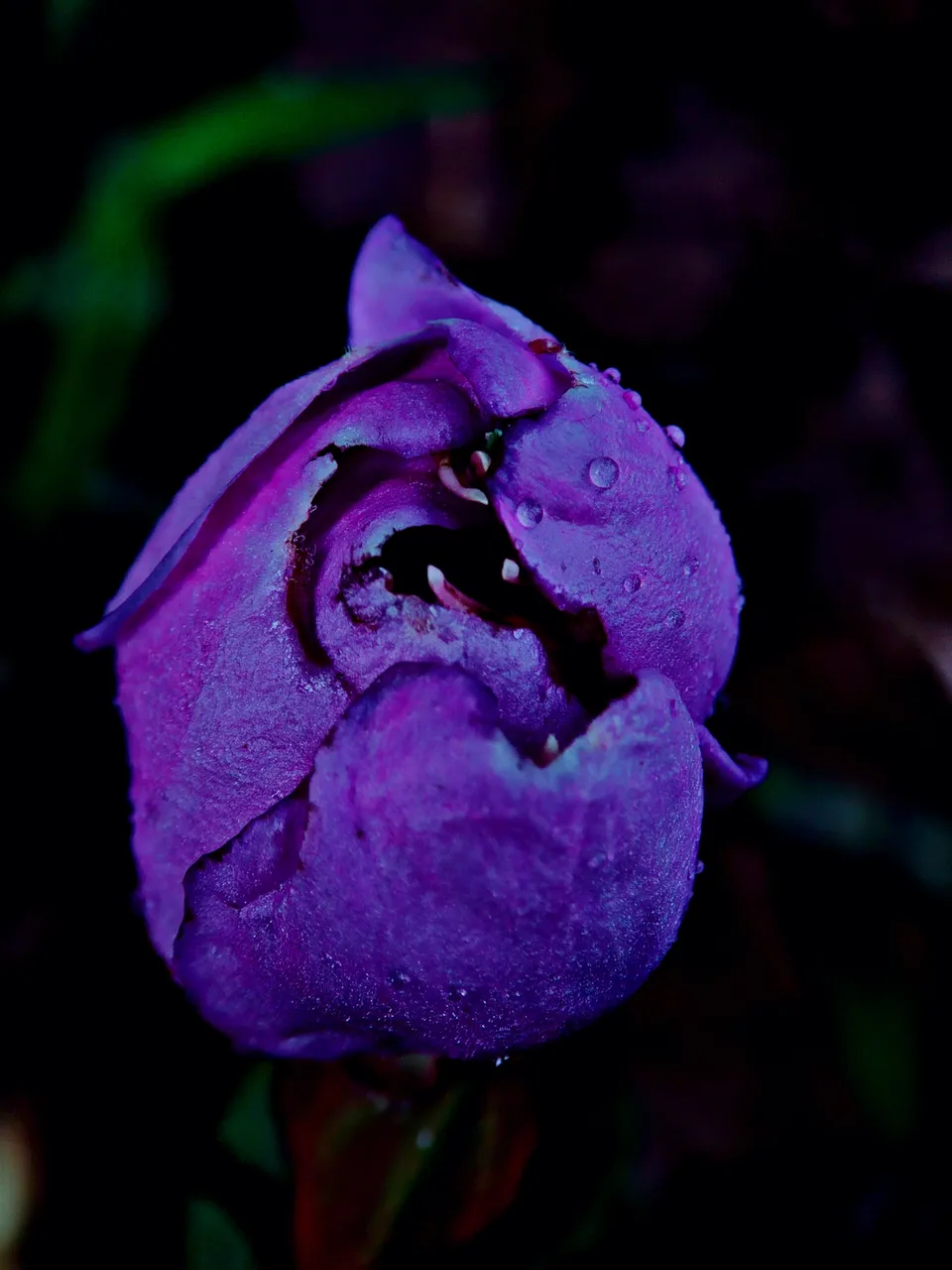 PicsArt_07-24-12.23.20.jpg