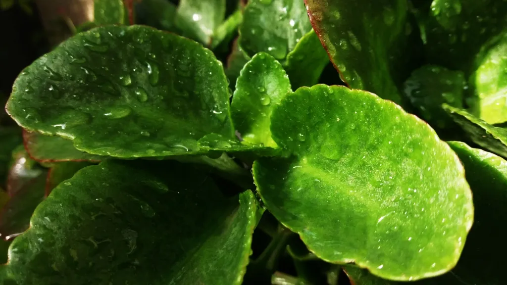 CYMERA_20201026_111923.jpg