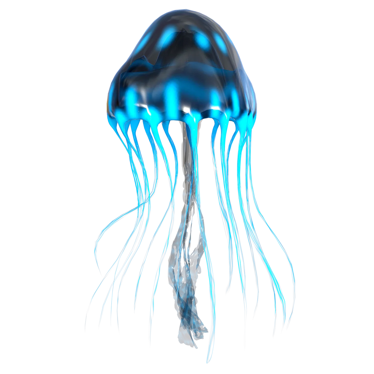 jellyfish-6952877_1920.png
