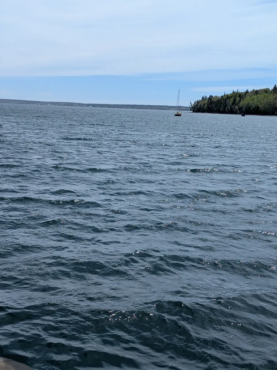 windy-day-in-lunenburg.jpg
