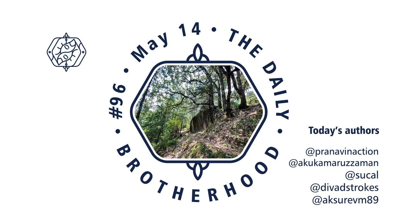 logo_brotherhood_08_96.jpg