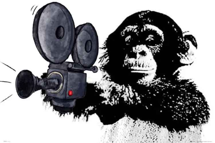 Movie Monkey Logo.JPEG