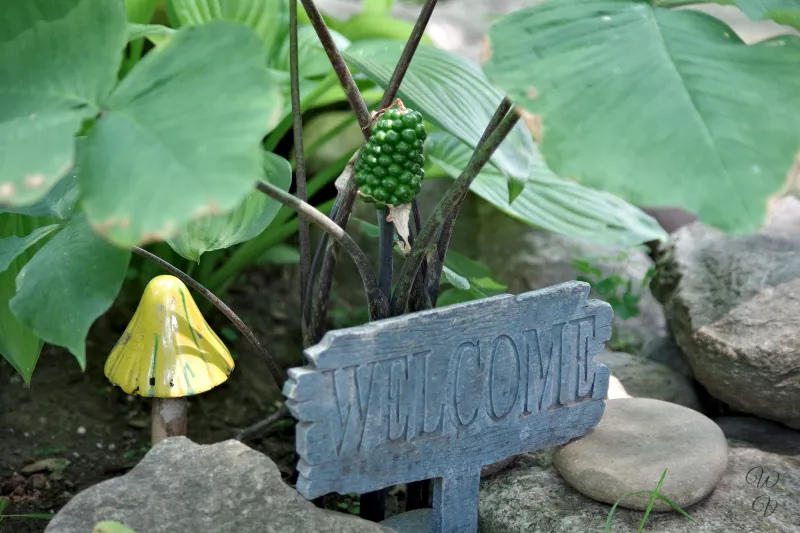 jack in pulpit 1.jpg