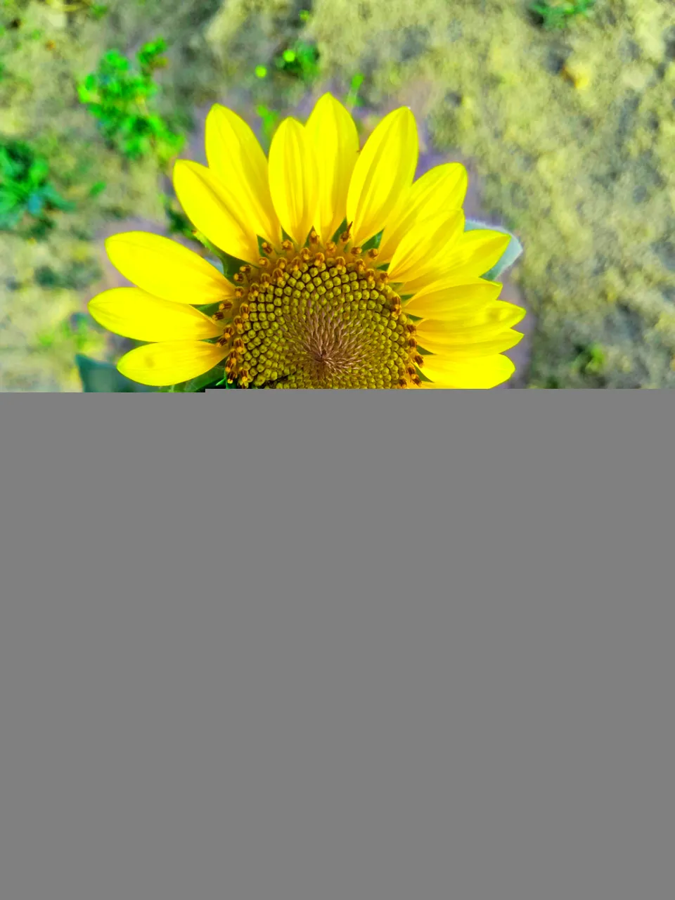 PicsArt_06-19-01.43.39.jpg