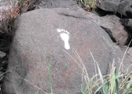 Bina-Footprints-Niger.jpeg