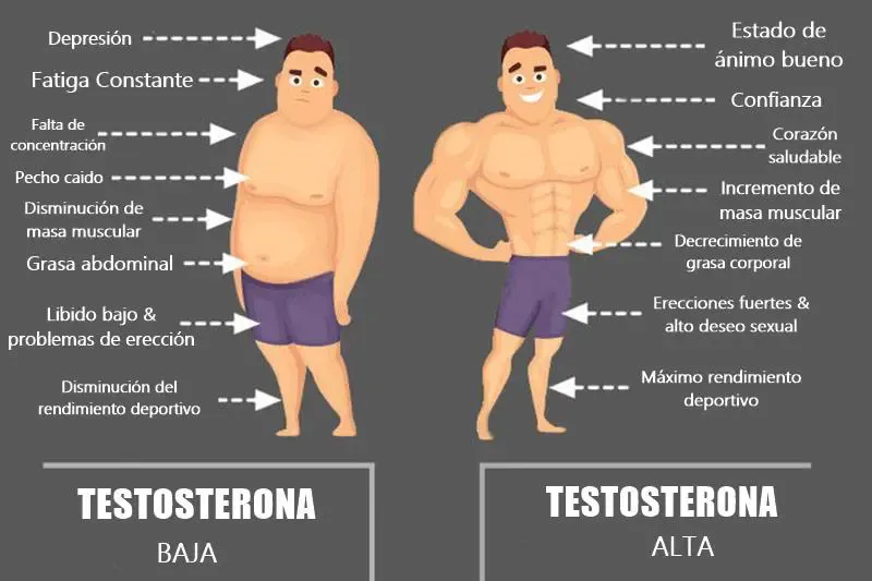 testosterona-baja-min.webp