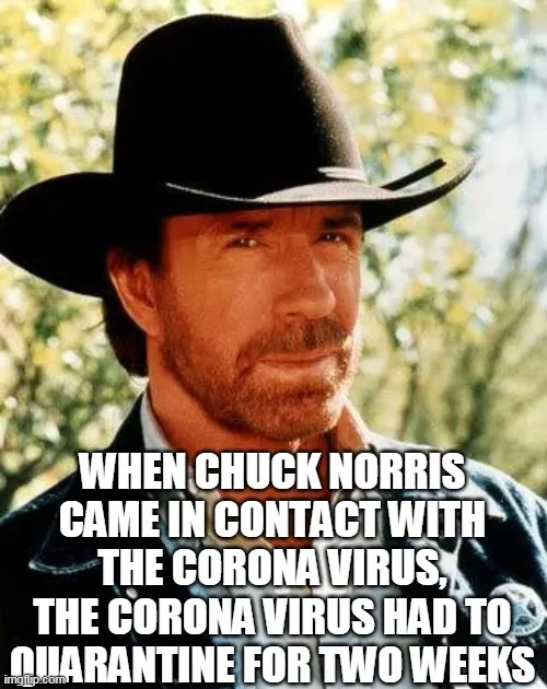 covid 19 meme 13.jpg