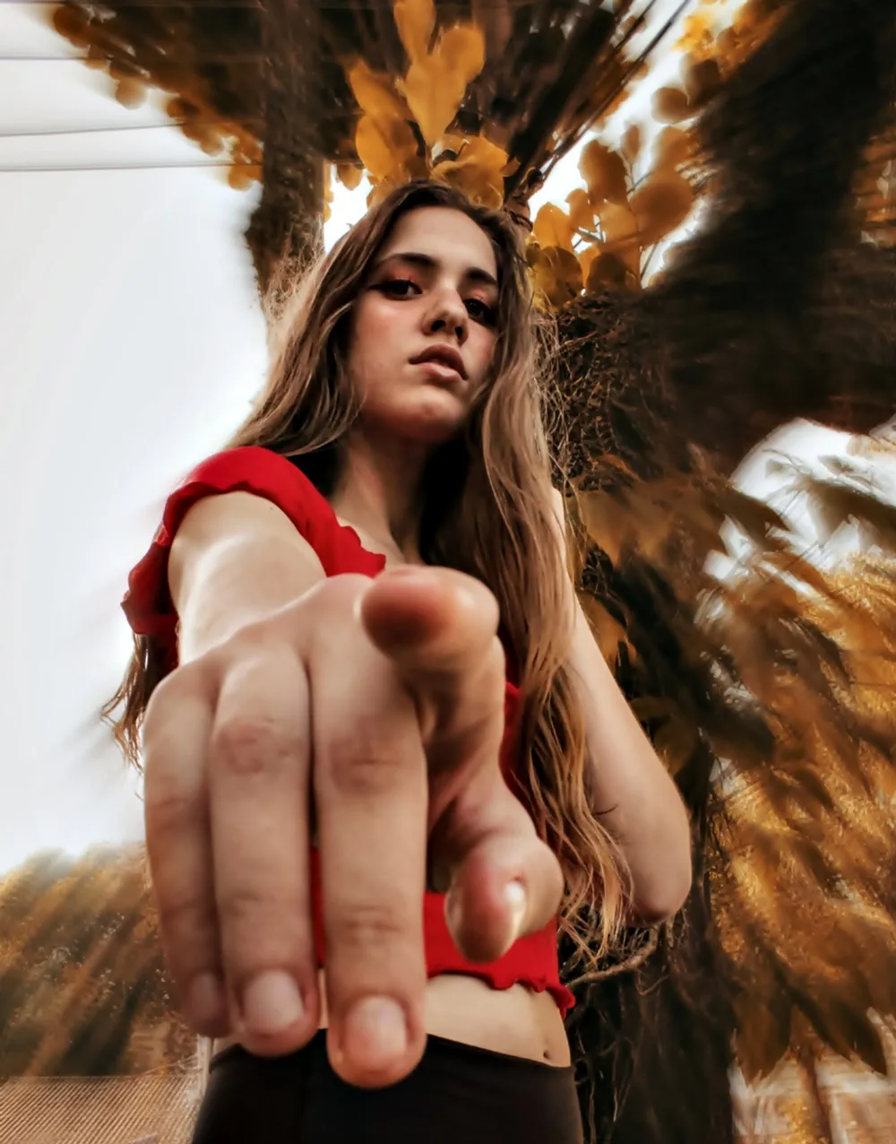 pexels-beatriz-3167725.jpg