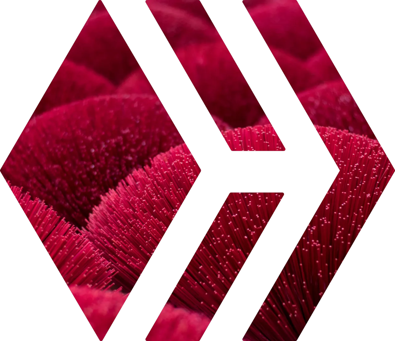 PicsArt_02-12-10.19.11.png