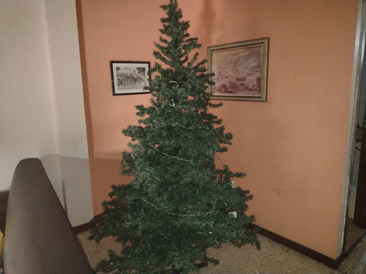 IMG_20211210_171246471.jpg
