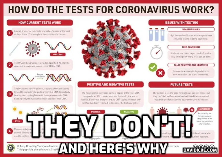 PCR-TEST-IMAGE-768x543.jpg