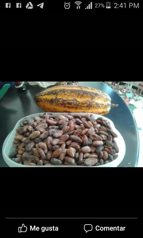 Almendras de Cacao.png